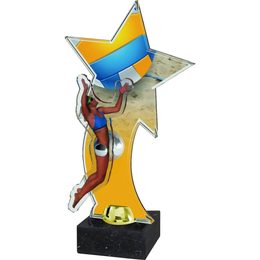 Trofeo Viena de Acrílico de Estrella para Voleibol de Playa