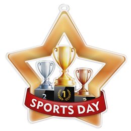 Medalla Mini Estrella de Acrílico Bronce para Día de Deportees