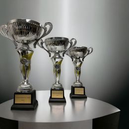 Copa de Plata y Oro STL2019/06