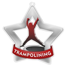 Medalla Mini Estrella de Acrílico Plata para Trampolín