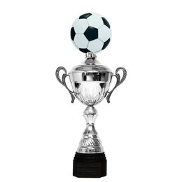 Copa Metálica Minot de Fútbol Plata