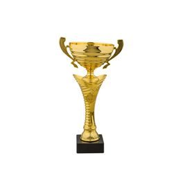 Copa de Oro STL2019/02