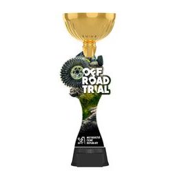 Copa Personalizada Stephenson