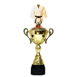 Copa Metálica Minot para Artes Marciales Oro
