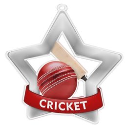 Medalla Mini Estrella de Acrílico Plata para Cricket