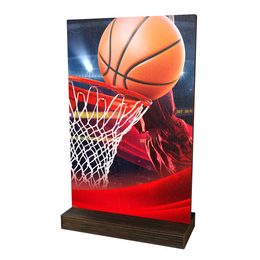 Trofeo Sherwood de Madera Ecológico para Baloncesto