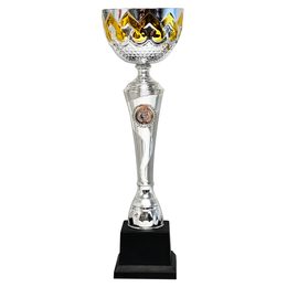 Copa de Plata y Oro STL2022/02