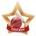Medalla Mini Estrella de Acrílico Bronce para Cricket