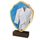 Trofeo Arden de Madera Real con Escudo de Artes Marciales de Arden