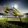 Trofeo de Bota Dorada 2D para Fútbol