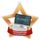 Medalla Mini Estrella de Acrílico Bronce para Tecnologías de la Información