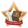 Medalla Mini Estrella de Acrílico Bronce para Literatura Inglesa