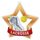 Medalla Mini Estrella de Acrílico Bronce para Lacrosse