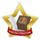Medalla Mini Estrella de Acrílico Oro para Literatura Inglesa
