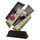 Trofeo Acrílico París para Cricket