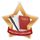 Medalla Mini Estrella de Acrílico Bronce para Lengua Inglesa