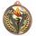 Medalla de Bronce Victoria Color Textura 3D