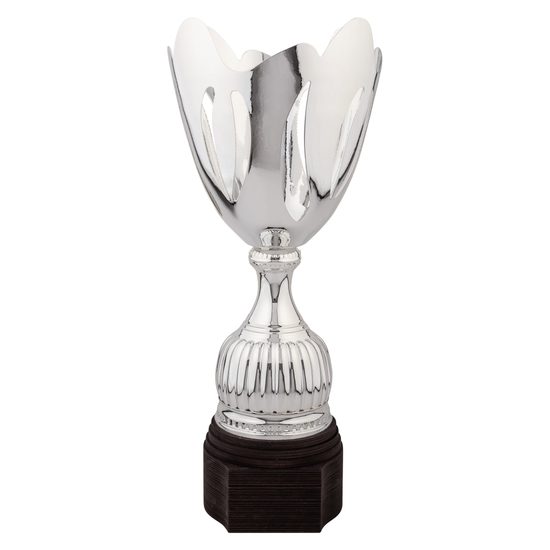 Raton Copa Láser de Plata