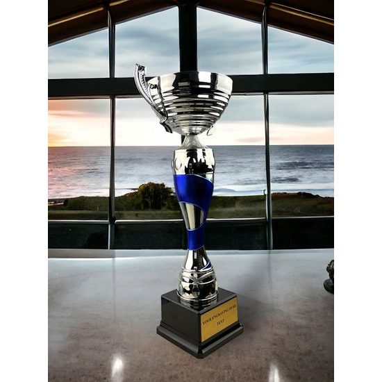 Copa Premium Silver Cup Tamaño LXL2019/06