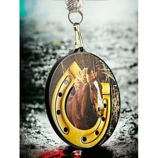 Medalla de Cabeza de Caballo en Acrílico Negro Rincon