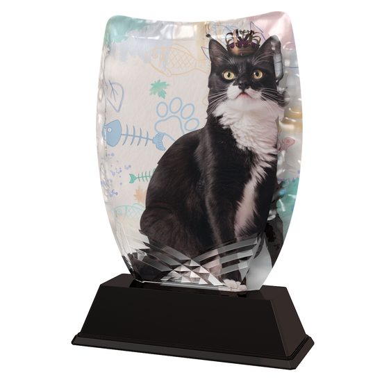Trofeo Acrílico Iceberg para Exhibición de Gatos