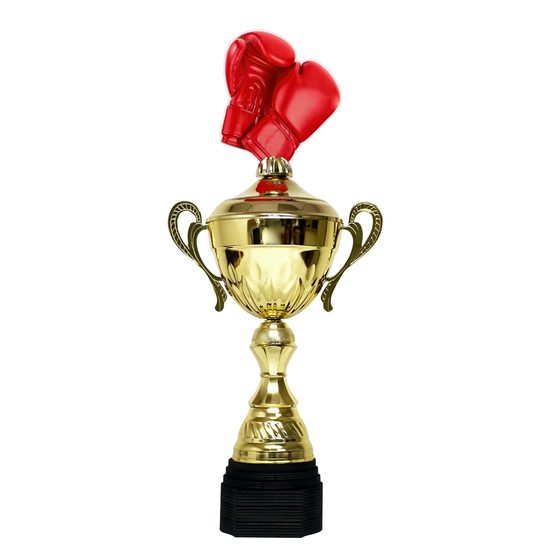 Copa Metálica Minot de Boxeo Oro