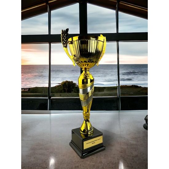 Copa de Oro y Plata de Denver sobre Base Negra de PVC