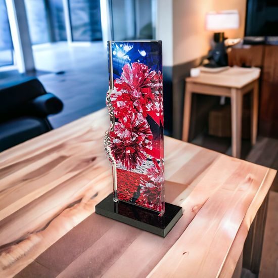 Trofeo Apla de Animación