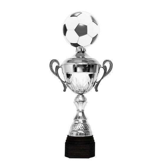 Copa Metálica Minot de Fútbol Plata