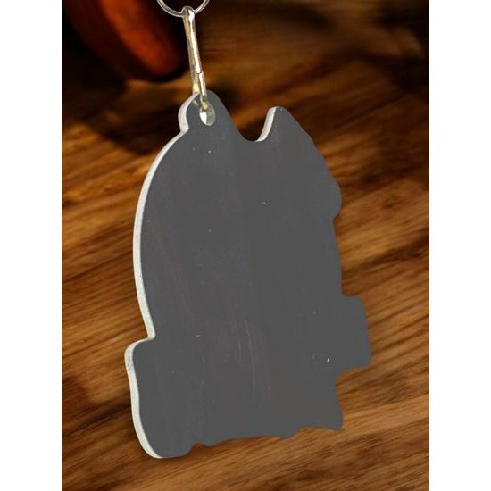 Medalla de Acero Inoxidable Personalizada Polaris