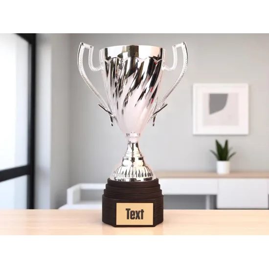 Trofeo Copa Ferdinand Plata