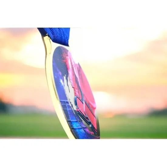 Medalla de Boxeo Sacul con Textura de Color e Impresión 3D