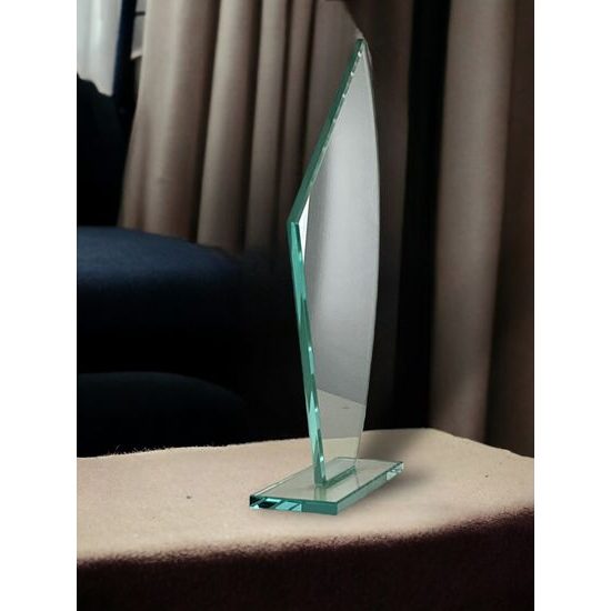 Premio de Vidrio Snook