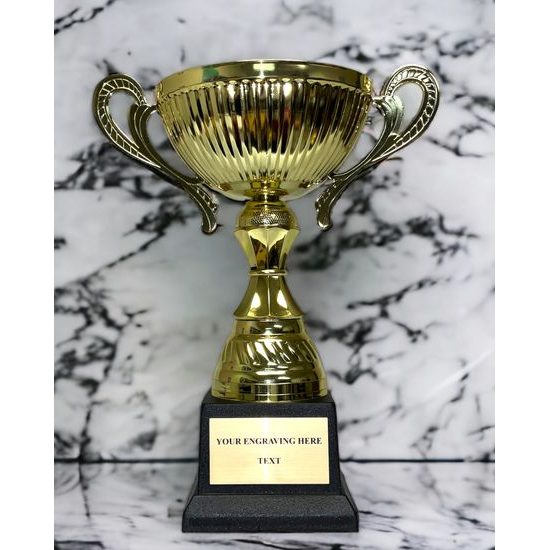 Copa de Oro STL2019/19