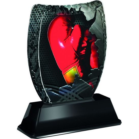 Trofeo Acrílico Iceberg de Boxeo