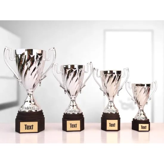 Trofeo Copa Ferdinand Plata