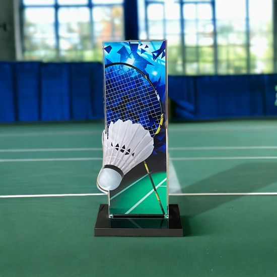 Trofeo Apla de Bádminton