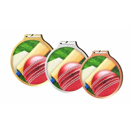 Medalla Habitat de Madera Ecológica para Cricket