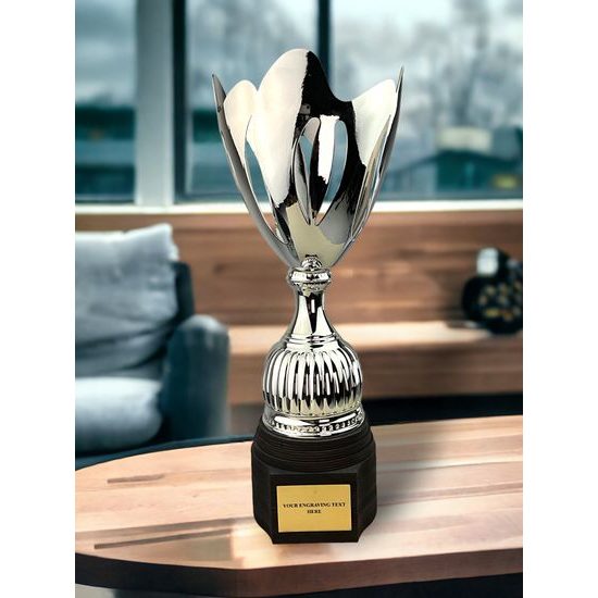 Raton Copa Láser de Plata