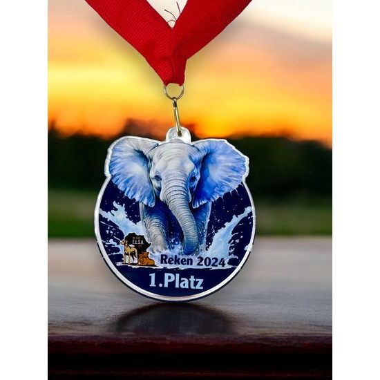 Medalla Personalizada de Acrílico Nala