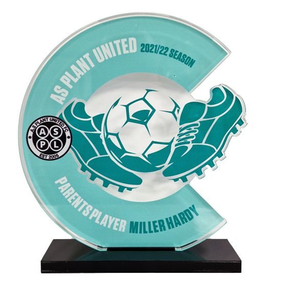 Premio Personalizado de Paisaje Tesla en Acrílico