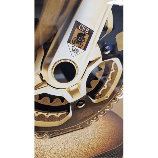 Premio de Fusión de Retrato Personalizado Canova de Acrílico y Madera