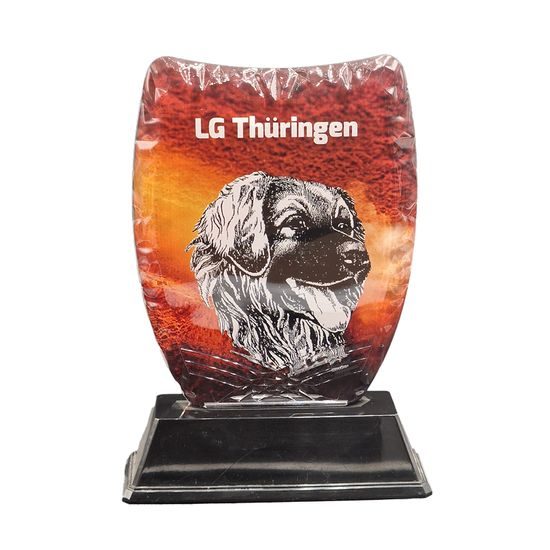 Premio Personalizado Morse de Acrílico