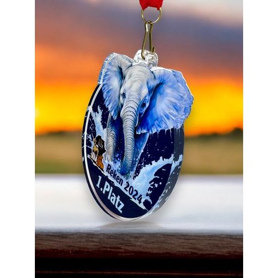 Medalla Personalizada de Acrílico Nala