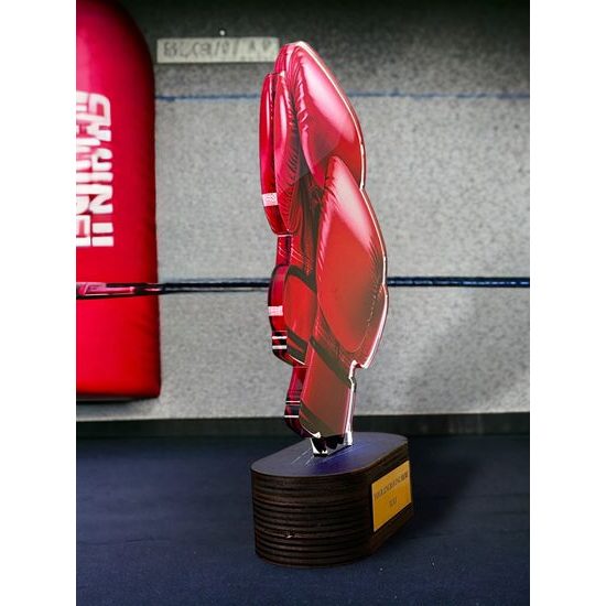 Trofeo Altus de Boxeo Color