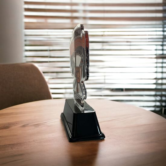 Premio Personalizado con Logo Catarina de Acrílico