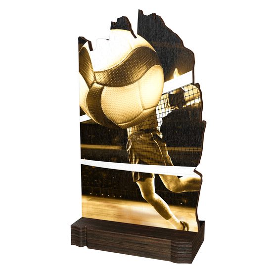 Trofeo Clásico Shard de Madera Ecológico para Voleibol