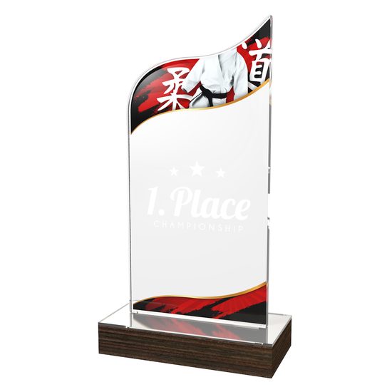 Trofeo Clásico de Artes Marciales de Madera y Acrílico United