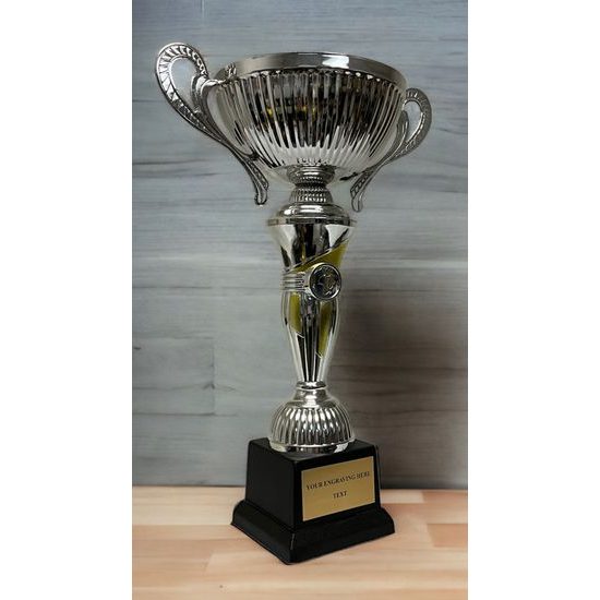 Copa de Plata y Oro STL2019/06