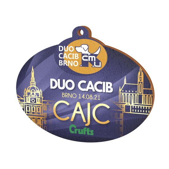 Medalla Personalizada de Madera Real con Logo de Río